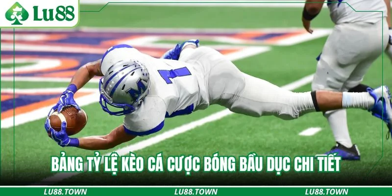 Bảng tỷ lệ kèo cá cược bóng bầu dục chi tiết