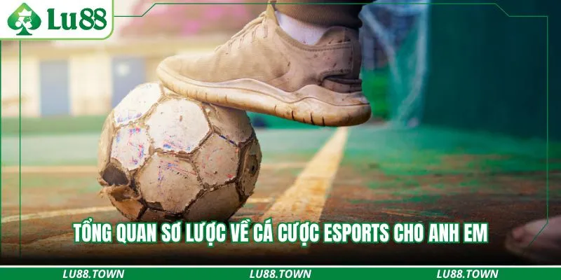 Tổng quan sơ lược về cá cược eSports cho anh em